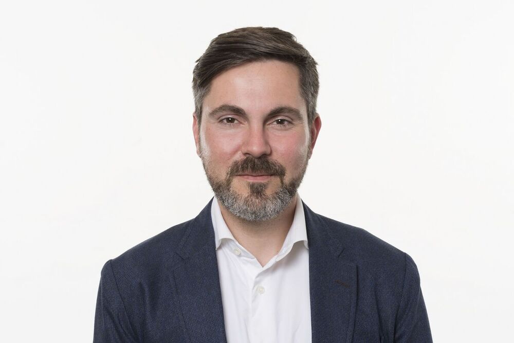 Fabio De Masi